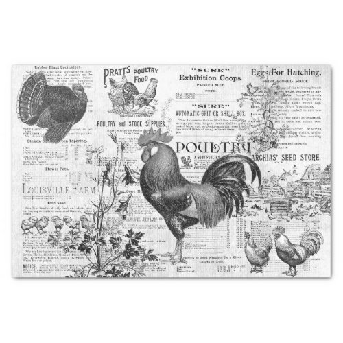 Antique Rooster Horticulture Ads Ephemera Gray Tissue Paper