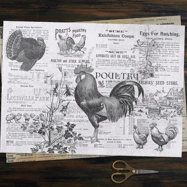 Antique Rooster Horticulture Ads Ephemera Gray Tissue Paper (Creator Uploaded)