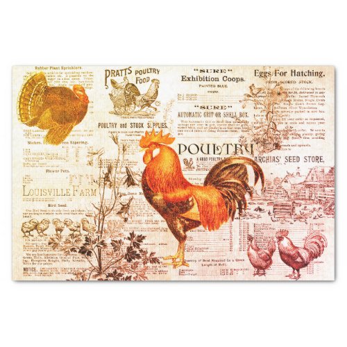 Antique Rooster Horticulture Ads Ephemera Red Tissue Paper