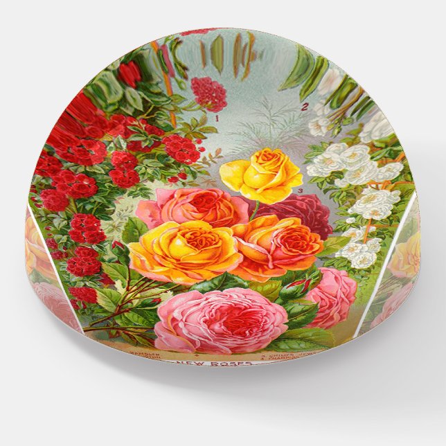 Antique Rose Catalog Flowers Paperweight (Angled)