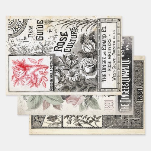 ANTIQUE ROSE CULTURE GUIDES HEAVY WEIGHT DECOUPAGE WRAPPING PAPER SHEETS