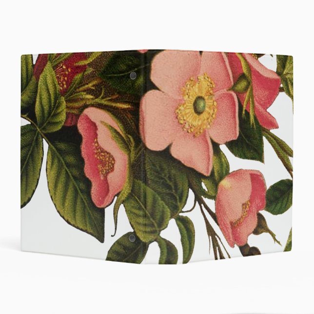 Antique Rose Flower Art Illustration Drawing Mini Binder (Background)