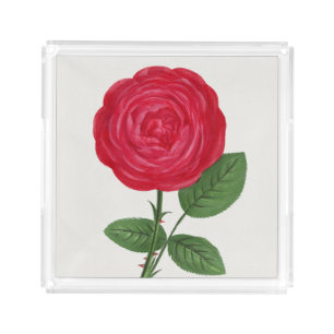 Antique Rose Lithograph, François-Frédéric Grobon Acrylic Tray