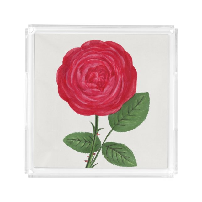 Antique Rose Lithograph, François-Frédéric Grobon Acrylic Tray (Front)