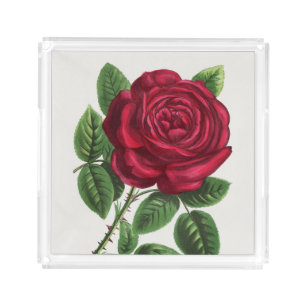 Antique Rose Lithograph, François-Frédéric Grobon Acrylic Tray