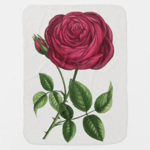 Antique Rose Lithograph, François-Frédéric Grobon Baby Blanket