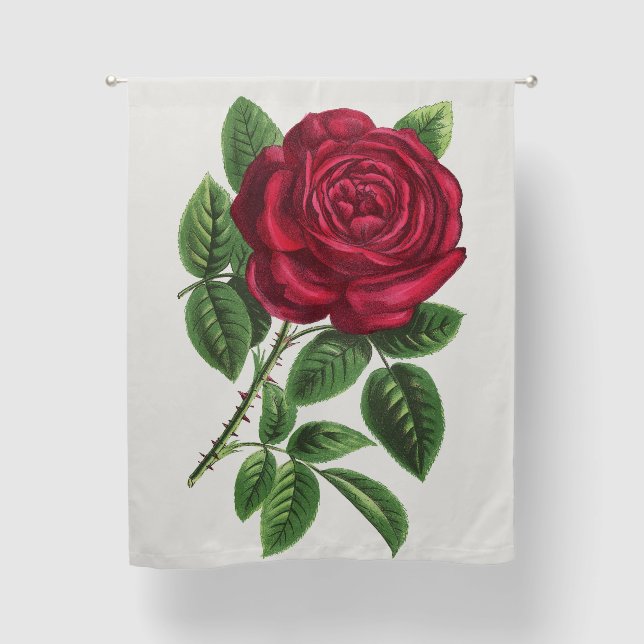 Antique Rose Lithograph, François-Frédéric Grobon Blackout Curtains (Front)