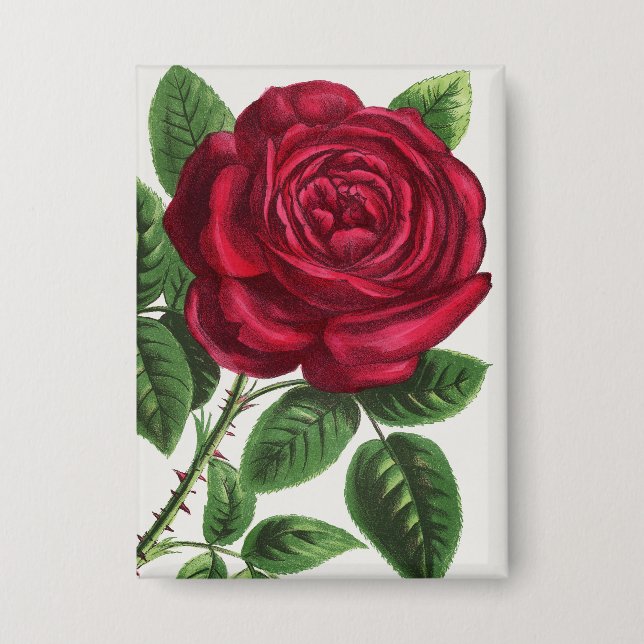 Antique Rose Lithograph, François-Frédéric Grobon Button (Front)