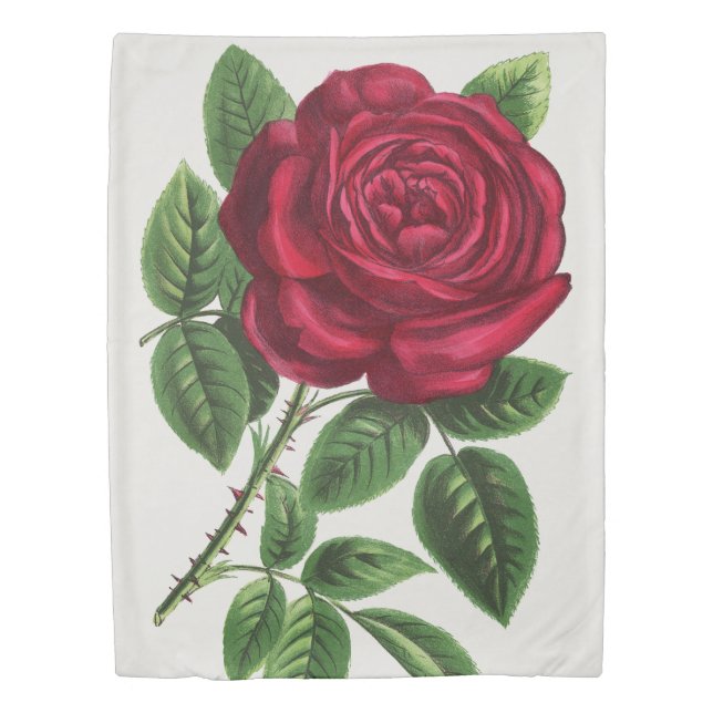 Antique Rose Lithograph, François-Frédéric Grobon Duvet Cover (Front)