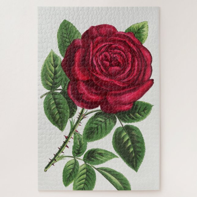 Antique Rose Lithograph, François-Frédéric Grobon Jigsaw Puzzle (Vertical)