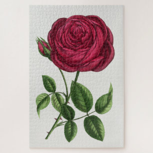 Antique Rose Lithograph, François-Frédéric Grobon Jigsaw Puzzle