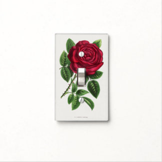 Antique Rose Lithograph, François-Frédéric Grobon Light Switch Cover