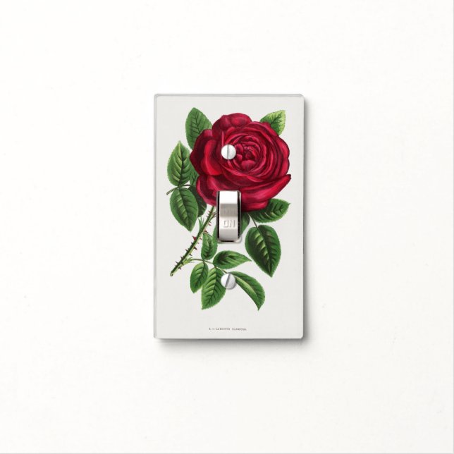 Antique Rose Lithograph, François-Frédéric Grobon Light Switch Cover (In Situ)