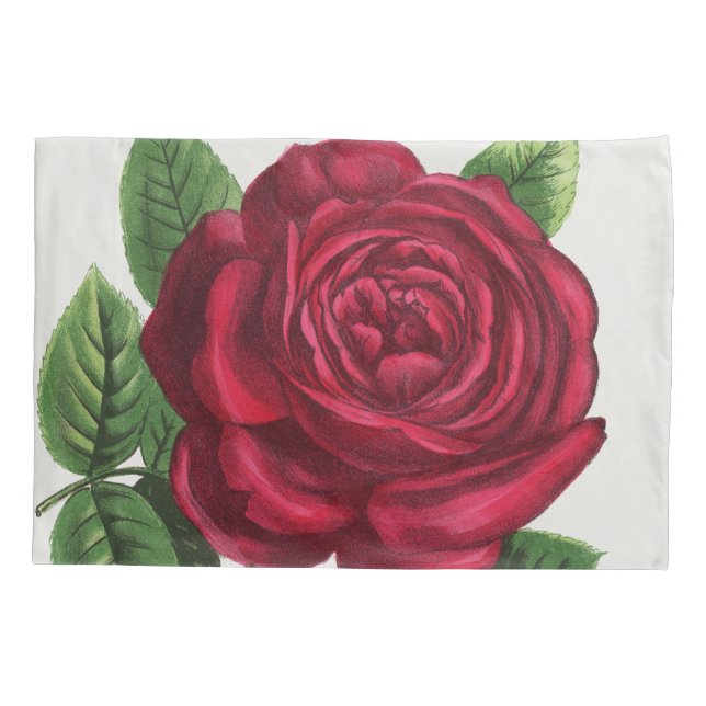 Antique Rose Lithograph, François-Frédéric Grobon Pillow Case (Back)