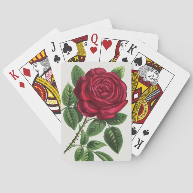 Antique Rose Lithograph, François-Frédéric Grobon Poker Cards (Back)