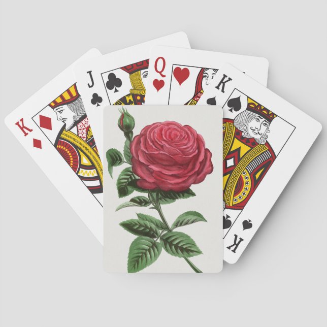Antique Rose Lithograph, François-Frédéric Grobon Poker Cards (Back)