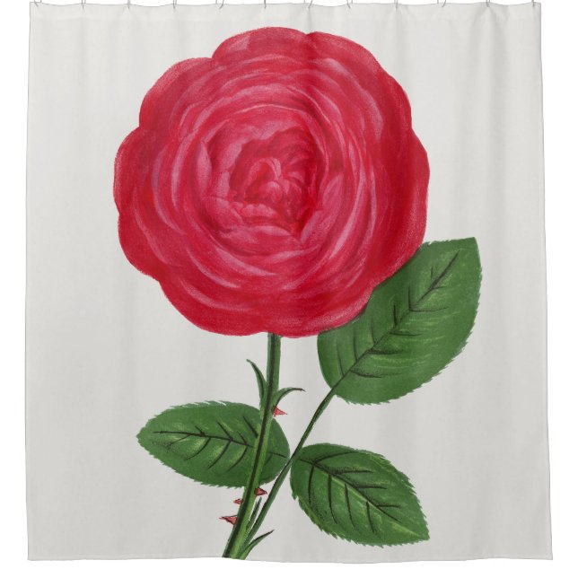 Antique Rose Lithograph, François-Frédéric Grobon Shower Curtain (Front)