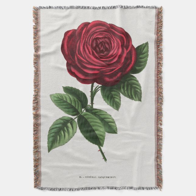 Antique Rose Lithograph, François-Frédéric Grobon Throw Blanket (Front Vertical)