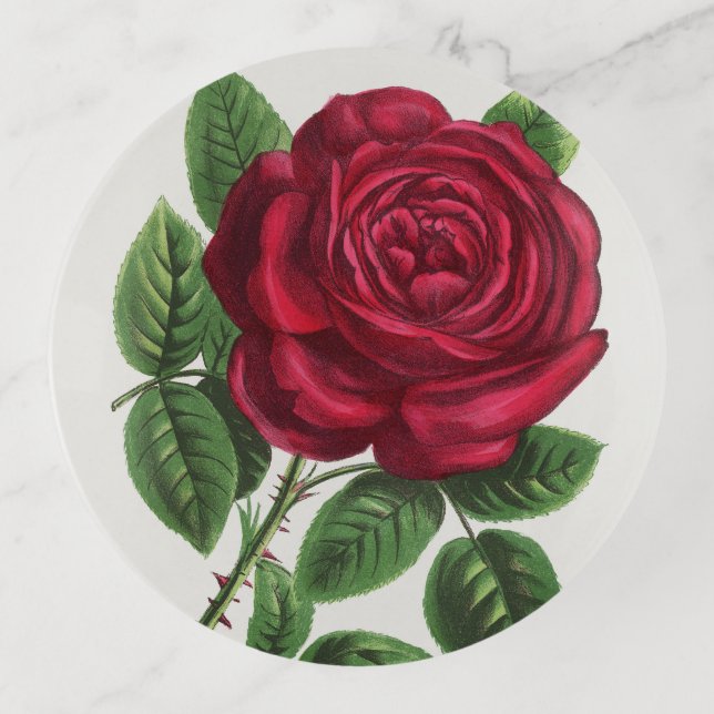 Antique Rose Lithograph, François-Frédéric Grobon Trinket Tray (Front)