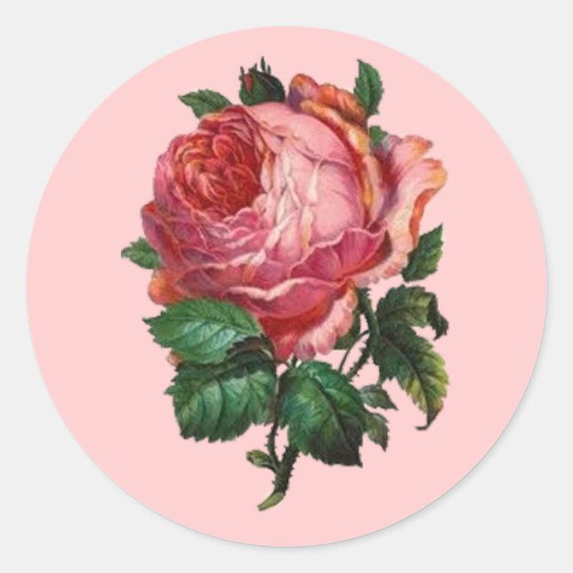 Antique Rose Sticker (Front)