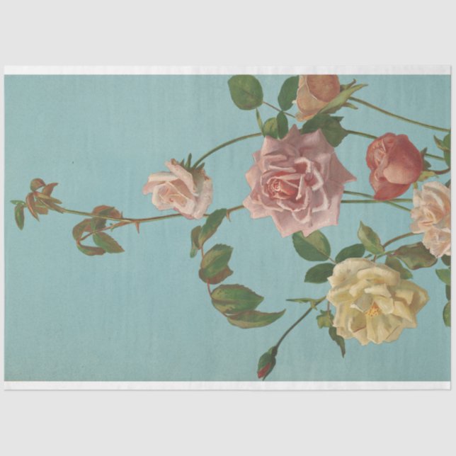 Antique Rose Turquoise Pink Retro Artwork  Tissue Paper (Front)
