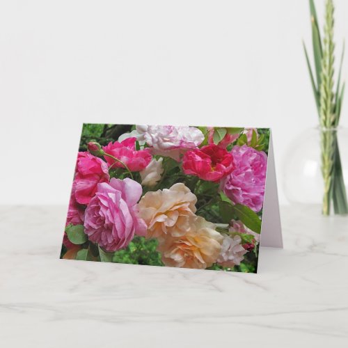 Antique Roses Birthday Card