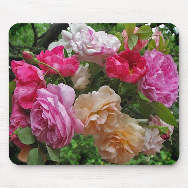 Antique Roses Mousepad (Front)