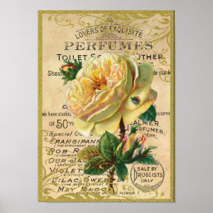 Antique Roses Perfume Butterflies Poster