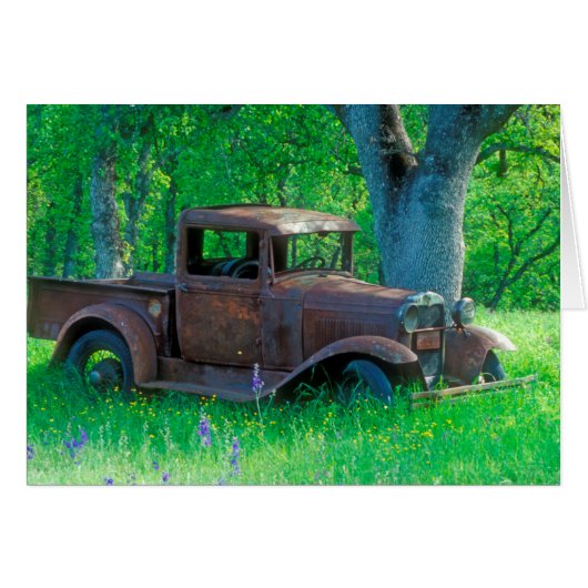 Antique rusted truck in a meadow (Front Horizontal)