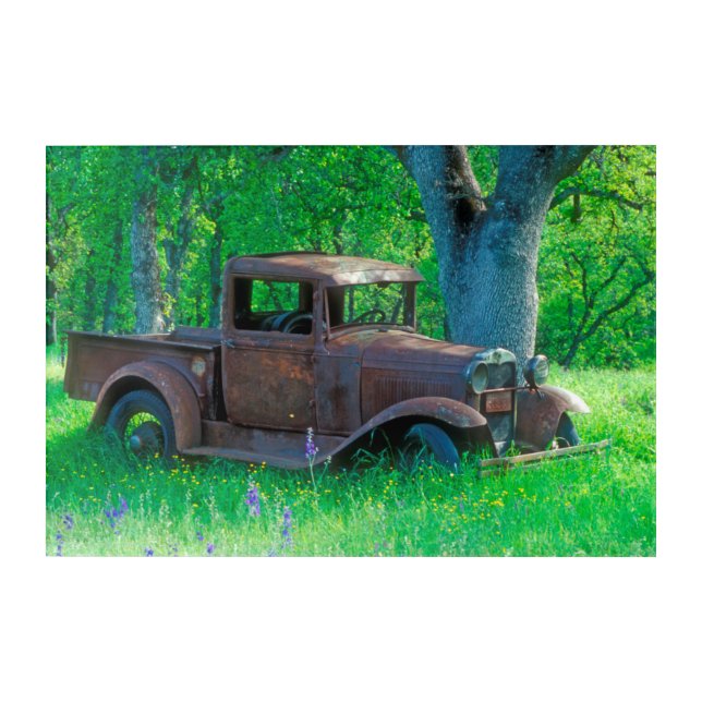 Antique rusted truck in a meadow acrylic print (Front)