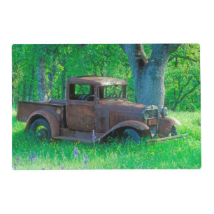 Antique rusted truck in a meadow placemat