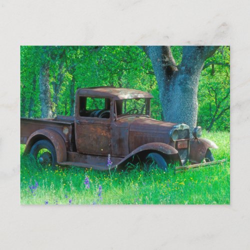 Antique rusted truck in a meadow postcard