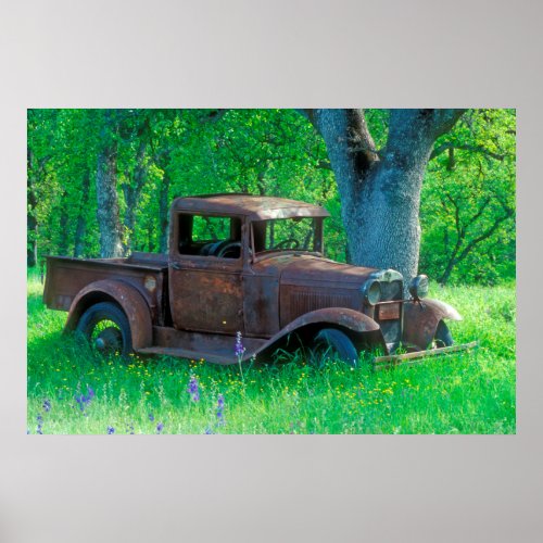Antique rusted truck in a meadow poster