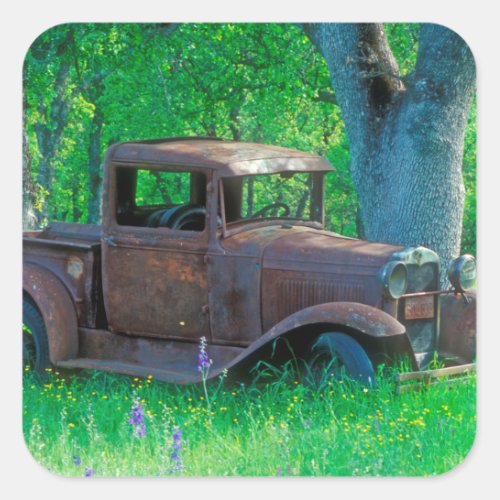 Antique rusted truck in a meadow square sticker