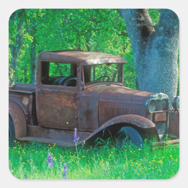 Antique rusted truck in a meadow square sticker (Front)