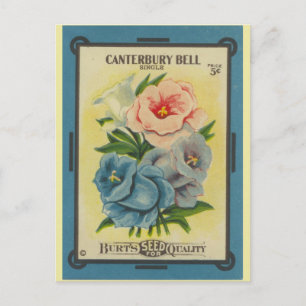 Antique Seed Packet Canterbury Bells Postcard