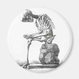 Antique Skeleton Anatomy: Gothic Halloween Medical Magnet