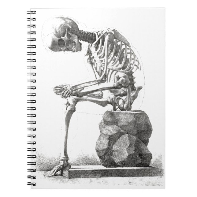 Antique Skeleton Anatomy: Gothic Halloween Medical Notebook (Front)