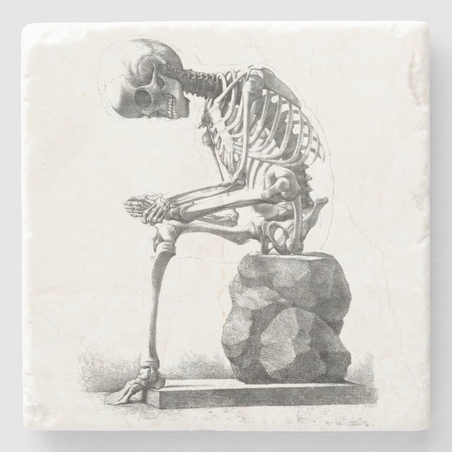 Antique Skeleton Anatomy: Gothic Halloween Medical Stone Coaster (Front)