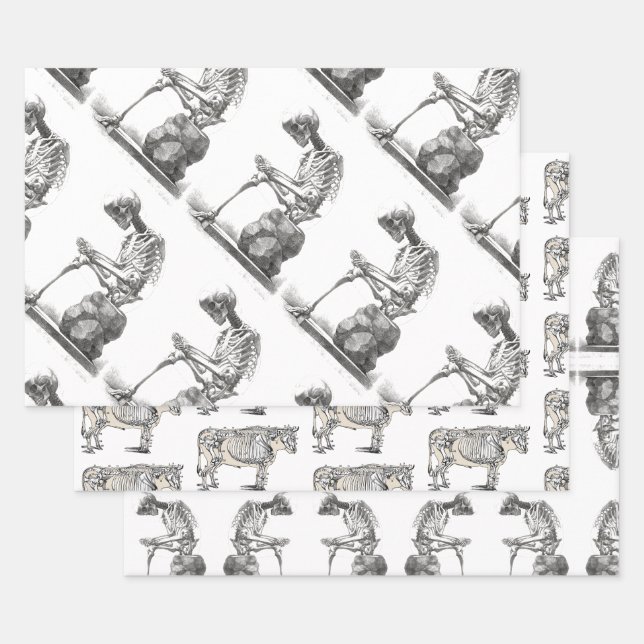 Antique Skeleton Anatomy: Gothic Halloween Medical Wrapping Paper Sheets (Set)