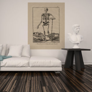 Antique Skeleton Human Anatomy Poster