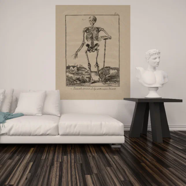 Antique Skeleton Human Anatomy Poster | Zazzle