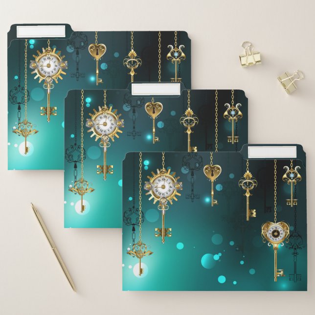 Antique Skeleton Keys on Green Background File Folder (Set)