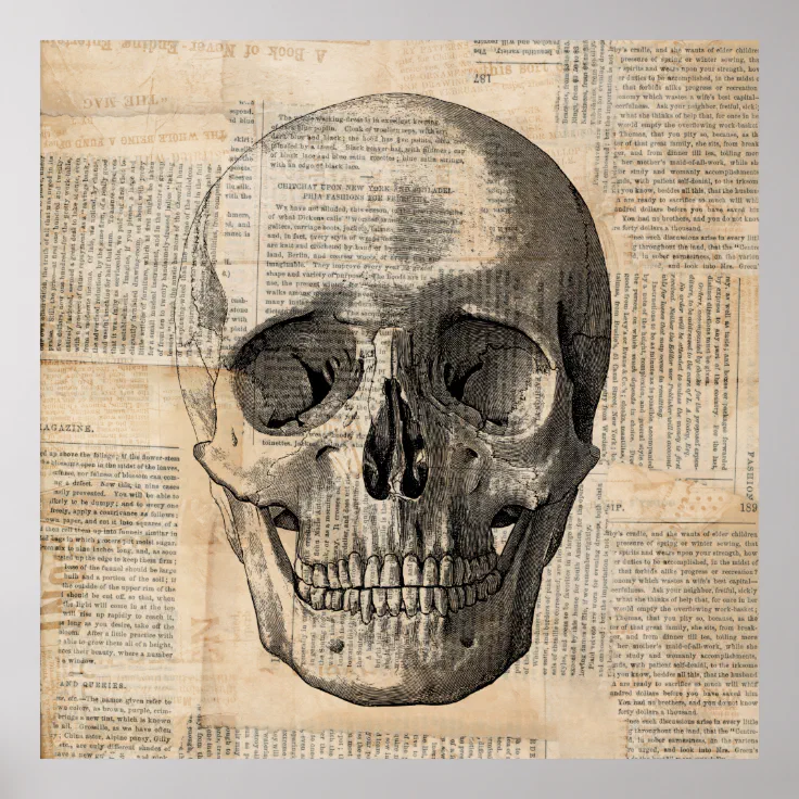 vintage skull art