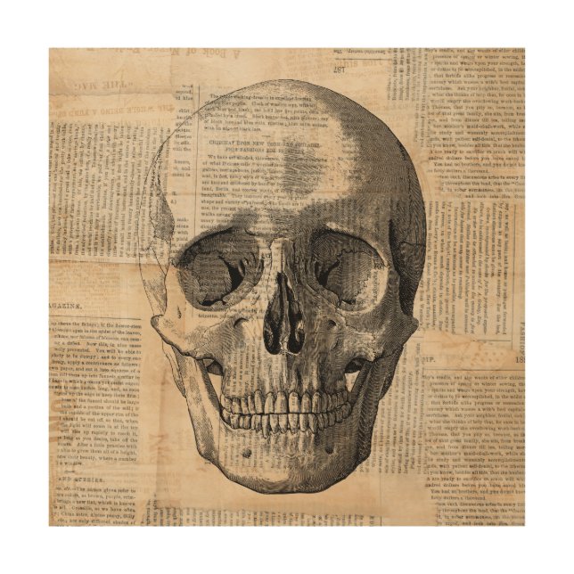 Antique Skull Illustration Vintage Art News Print (Front)