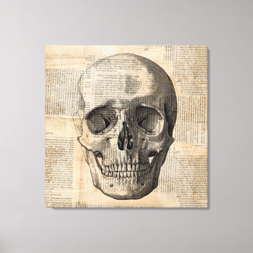 Antique Skull Illustration Vintage Art News Print