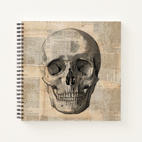 Antique Skull Illustration Vintage Art News Print Notebook