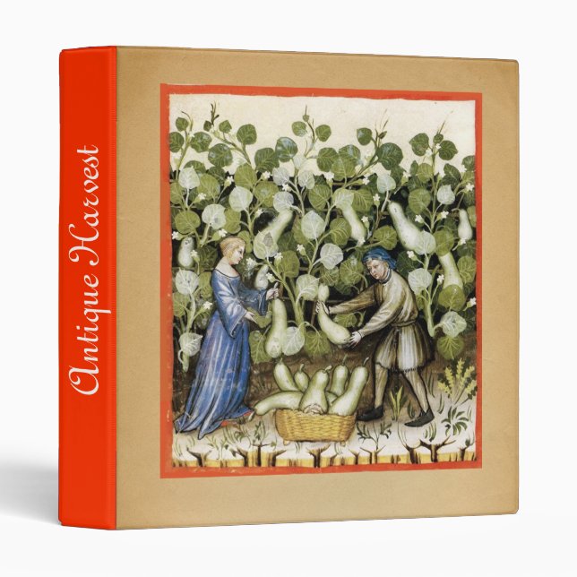 ANTIQUE SQUASH  HARVEST 3 RING BINDER (Front/Spine)