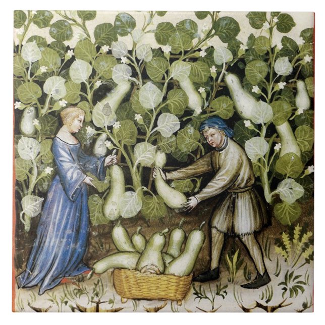 ANTIQUE SQUASH HARVEST CERAMIC TILE (Front)