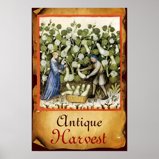 ANTIQUE SQUASH HARVEST PARCHMENT POSTER (Front)